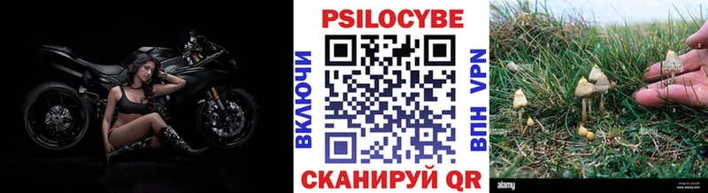 сколько стоит  Вихоревка  Псилоцибиновые грибы MAGIC MUSHROOMS 
